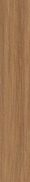 58956.
