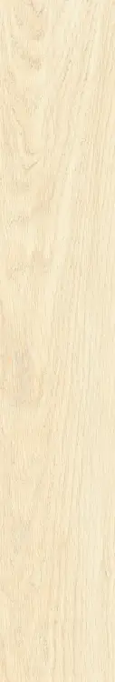 59203.