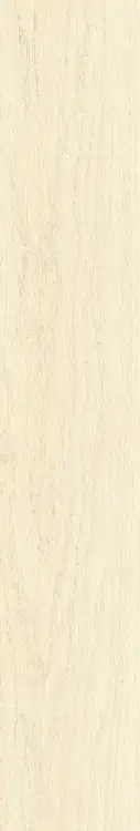 59205.